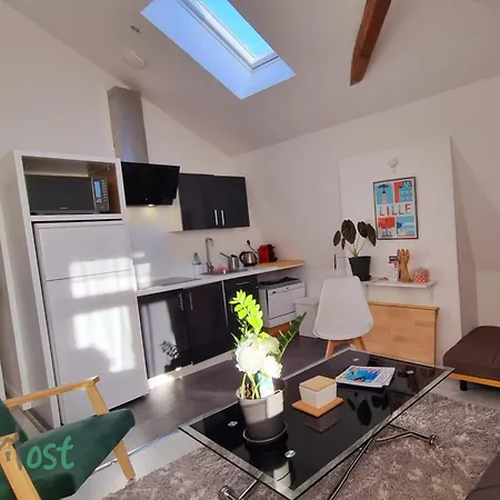 Jasmine-close To Station,grd Palais,zenith&center Apartment Lille